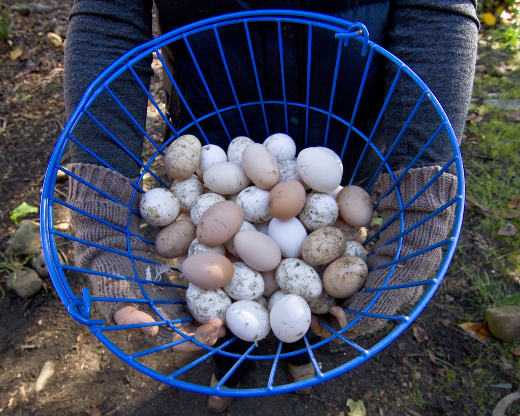 (John Green/Bay Area News Group)